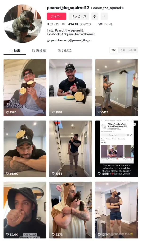 【リス銘柄】仮想通貨PNUT（ピーナッツ）とは？買い方や将来性・取引所を解説