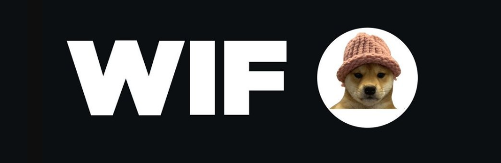 仮想通貨WIF（dogwifhat）とは？どこで買える？将来性や特徴を解説