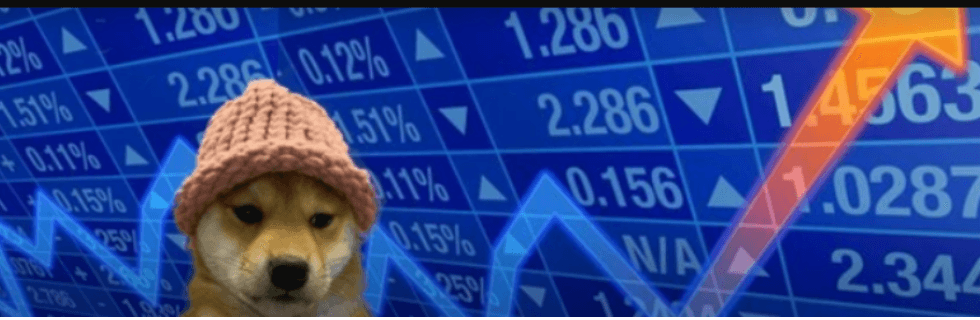 仮想通貨WIF(dogwifhat)とは?どこで買える?将来性や特徴を解説