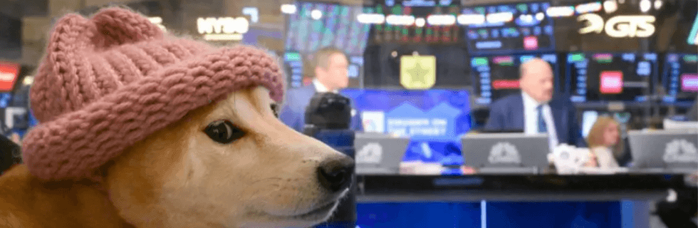 仮想通貨WIF（dogwifhat）とは？どこで買える？将来性や特徴を解説