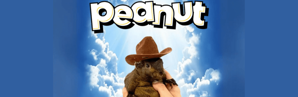 【リス銘柄】仮想通貨PNUT（ピーナッツ）とは？買い方や将来性・取引所を解説