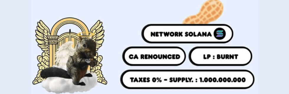 【リス銘柄】仮想通貨PNUT（ピーナッツ）とは？買い方や将来性・取引所を解説