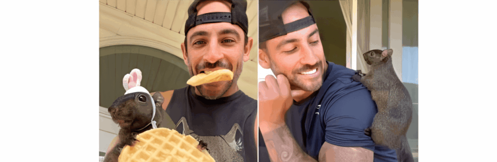 【リス銘柄】仮想通貨PNUT（ピーナッツ）とは？買い方や将来性・取引所を解説