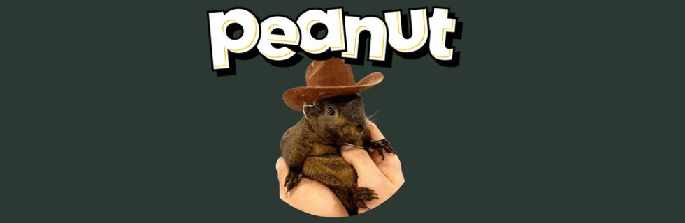 【リス銘柄】仮想通貨PNUT（ピーナッツ）とは？買い方や将来性・取引所を解説