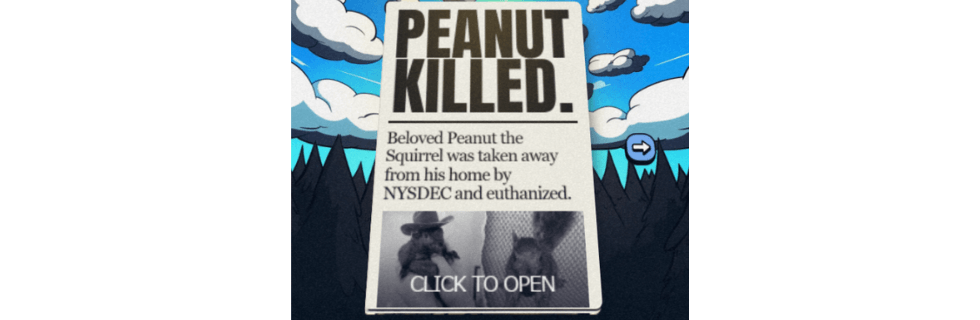 【リス銘柄】仮想通貨PNUT（ピーナッツ）とは？買い方や将来性・取引所を解説