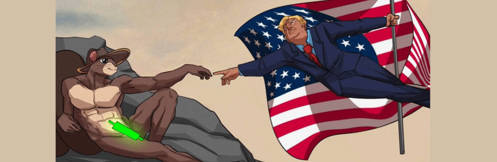 【リス銘柄】仮想通貨PNUT（ピーナッツ）とは？買い方や将来性・取引所を解説