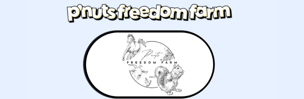 【リス銘柄】仮想通貨PNUT（ピーナッツ）とは？買い方や将来性・取引所を解説