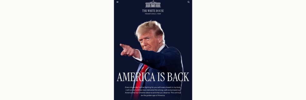 【億り人?】トランプコイン「TRUMP」はどこで買える?今後の見通しについて解説