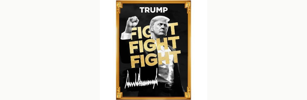 【億り人?】トランプコイン「TRUMP」はどこで買える?今後の見通しについて解説