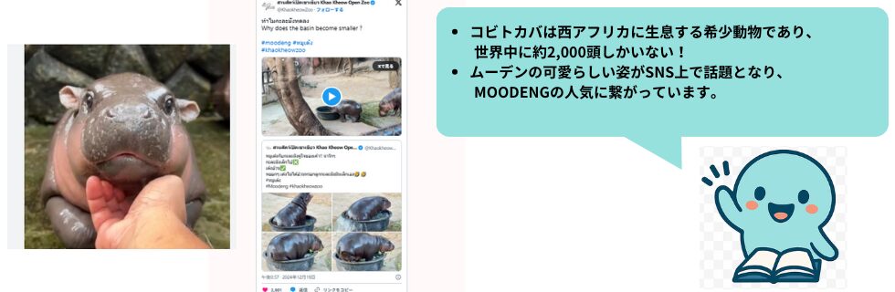 仮想通貨MOODENG(ムーデン)とは？将来性や買い方を徹底解説