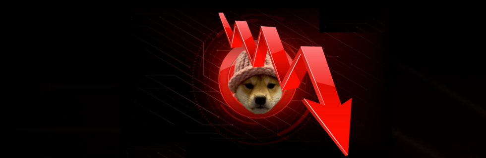 仮想通貨WIF(dogwifhat)とは?どこで買える?将来性や特徴を解説