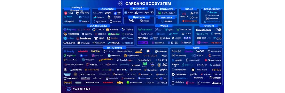仮想通貨ADA(カルダノ/エイダコイン)の将来性は？億り人を目指せるのか徹底解説