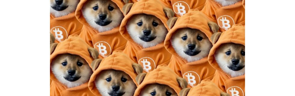 仮想通貨Dog (ドッグ)とは？買い方や将来性・今後の見通しについて解説