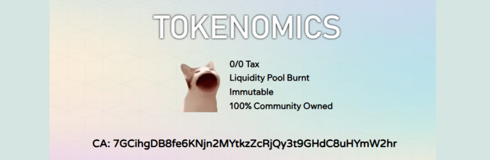 仮想通貨POPCATの将来性は？買い方や元ネタ・上場取引所を徹底解説