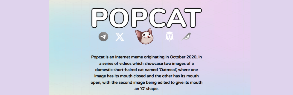 仮想通貨POPCATの将来性は？買い方や元ネタ・上場取引所を徹底解説