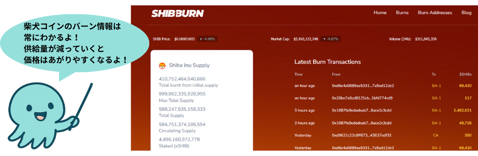 【もう遅い?】柴犬コイン(SHIB)で億り人になれる?1円になる可能性を解説