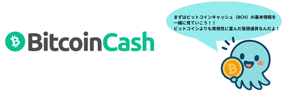 ビットコインキャッシュは将来性ない？オワコン？今後や上がらない理由・10年後を解説