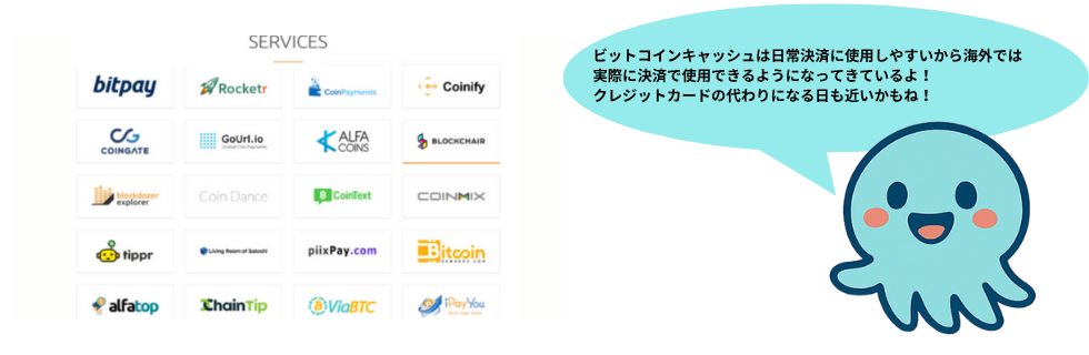 ビットコインキャッシュは将来性ない？オワコン？今後や上がらない理由・10年後を解説