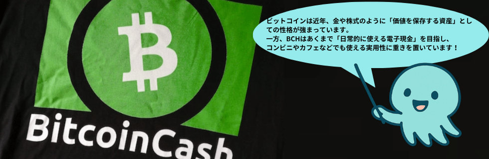 ビットコインキャッシュは将来性ない？オワコン？今後や上がらない理由・10年後を解説
