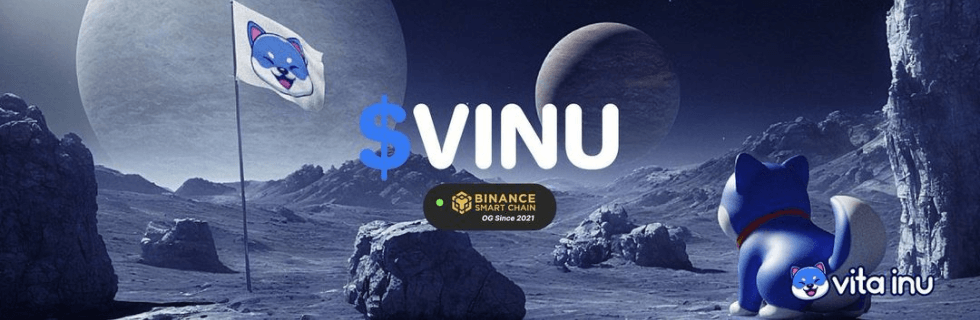 仮想通貨VINU（Vita Inu）とは？将来性やバーン、買い方について徹底解説