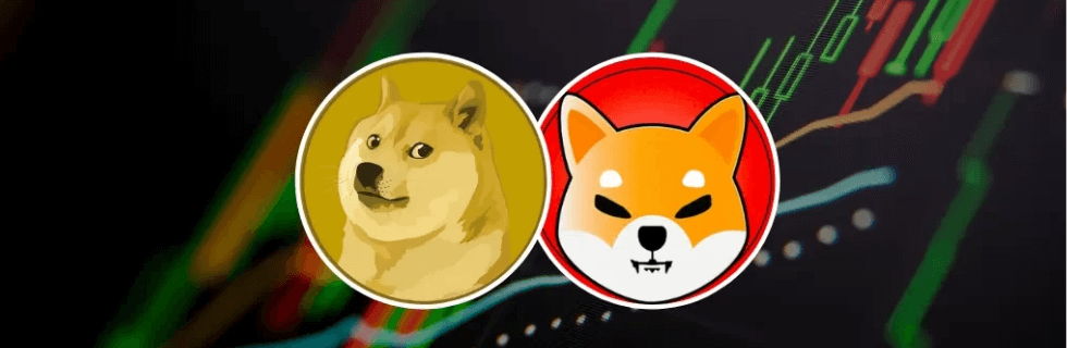 犬コインとは？おすすめの犬コイン銘柄一覧の紹介や買い方・買える取引所を解説