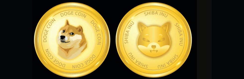 犬コインとは？おすすめの犬コイン銘柄一覧の紹介や買い方・買える取引所を解説