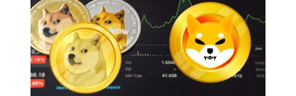 犬コインとは？おすすめの犬コイン銘柄一覧の紹介や買い方・買える取引所を解説