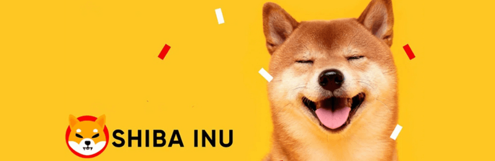 柴犬コイン38万円で億万長者に?今後1円になる可能性や将来性がないのか徹底解説