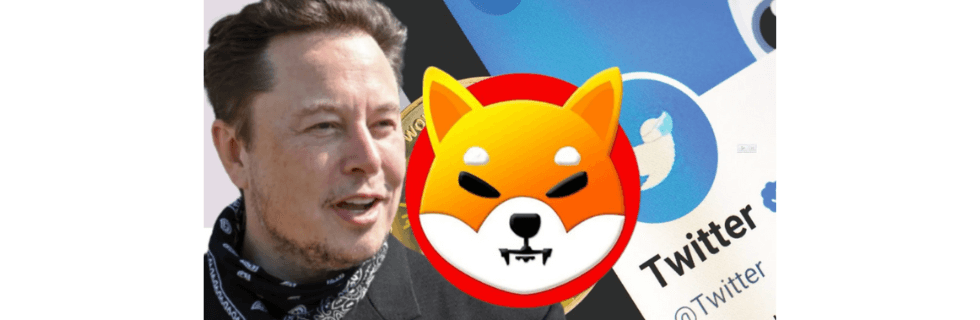 柴犬コイン38万円で億万長者に?今後1円になる可能性や将来性がないのか徹底解説