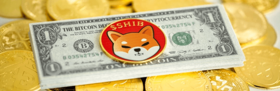 柴犬コイン38万円で億万長者に?今後1円になる可能性や将来性がないのか徹底解説