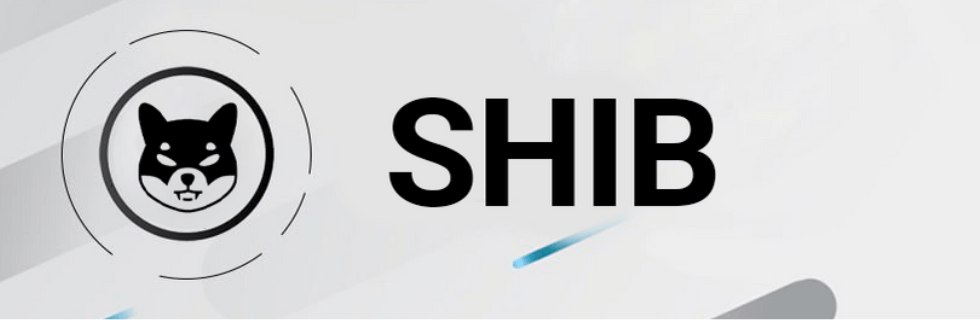 柴犬コイン38万円で億万長者に?今後1円になる可能性や将来性がないのか徹底解説