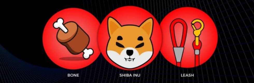 柴犬コイン38万円で億万長者に?今後1円になる可能性や将来性がないのか徹底解説