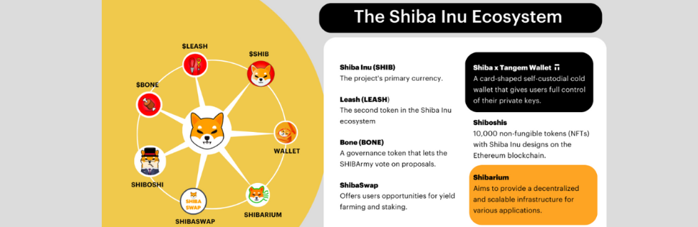 柴犬コイン38万円で億万長者に?今後1円になる可能性や将来性がないのか徹底解説