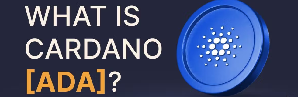 仮想通貨エイダコイン(ADA)は10000円になる?やばい?億り人になれるか解説
