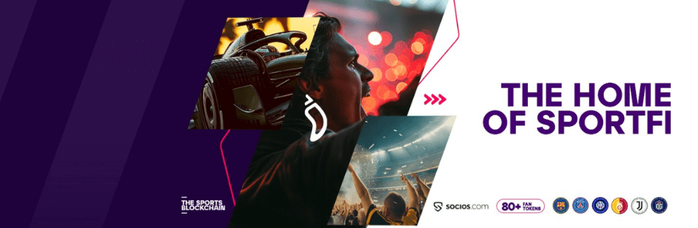 仮想通貨チリーズは爆上げする？暴落する？100円になる可能性について徹底解説