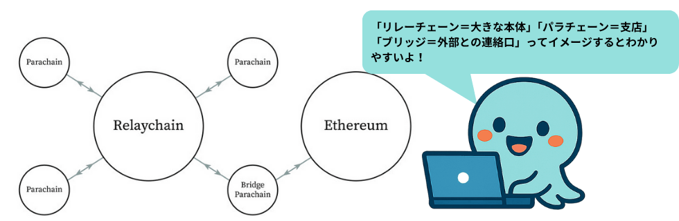 ポルカドットはオワコン?将来性ない?いつ上がる?10年後までガチホすべきか解説