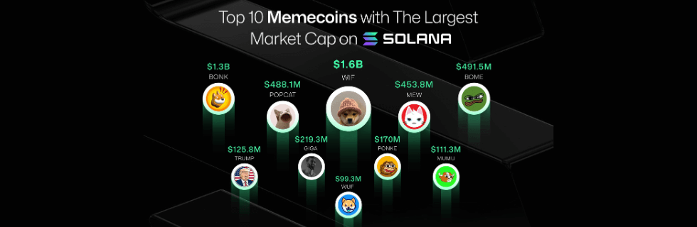 ソラナはオワコン？10年後にどこまで上がる？イーサリアムを超えるのか徹底解説