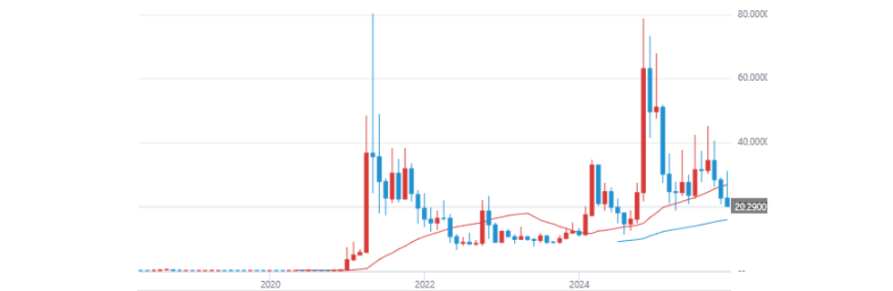 ドージコイン/DOGEはオワコン？イーロンマスクとの関係を徹底解説